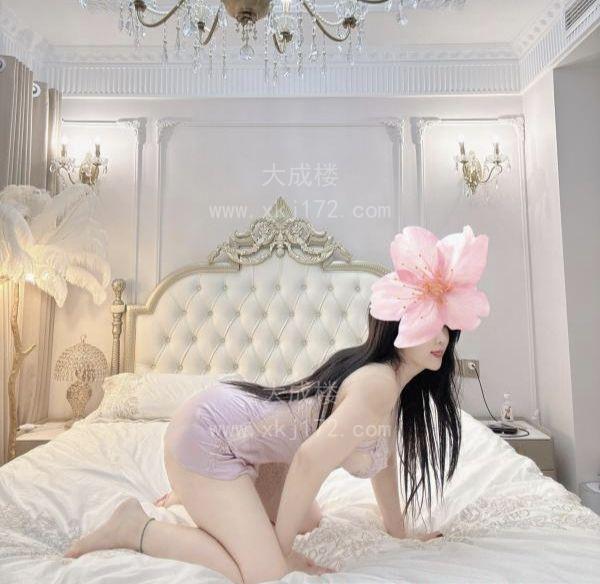 李沧区小美狐